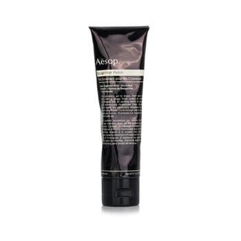 Aesop Sculpt Hair Polish 100ml/3.7oz Aesop Sculpt Hair Polish 100ml/3.7oz