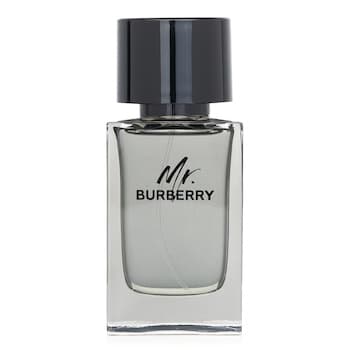 Burberry Burberry Mr. Burberry Eau De Toilette Spray 100ml Burberry Burberry Mr. Burberry Eau De Toilette Spray 100ml