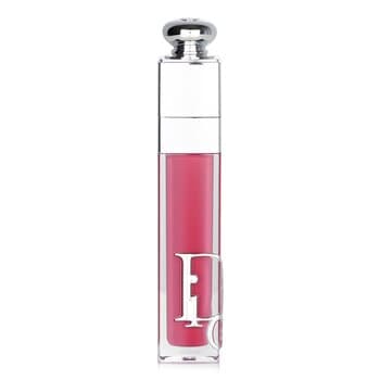 Christian Dior Addict Lip Maximizer Gloss - # 029 Intense Grape 6ml/0.2oz Christian Dior Addict Lip Maximizer Gloss - # 029 Intense Grape 6ml/0.2oz