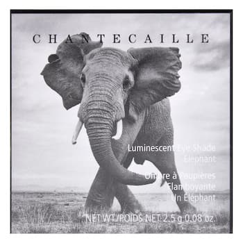 Chantecaille Luminescent Eye Shade - Elephant by Chantecaille for Women - 0.08 oz Eye Shadow- # - 0.08 Chantecaille Luminescent Eye Shade - Elephant by Chantecaille for Women - 0.08 oz Eye Shadow- # - 0.08